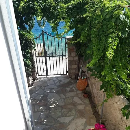 Apartment Lilo Maslinica